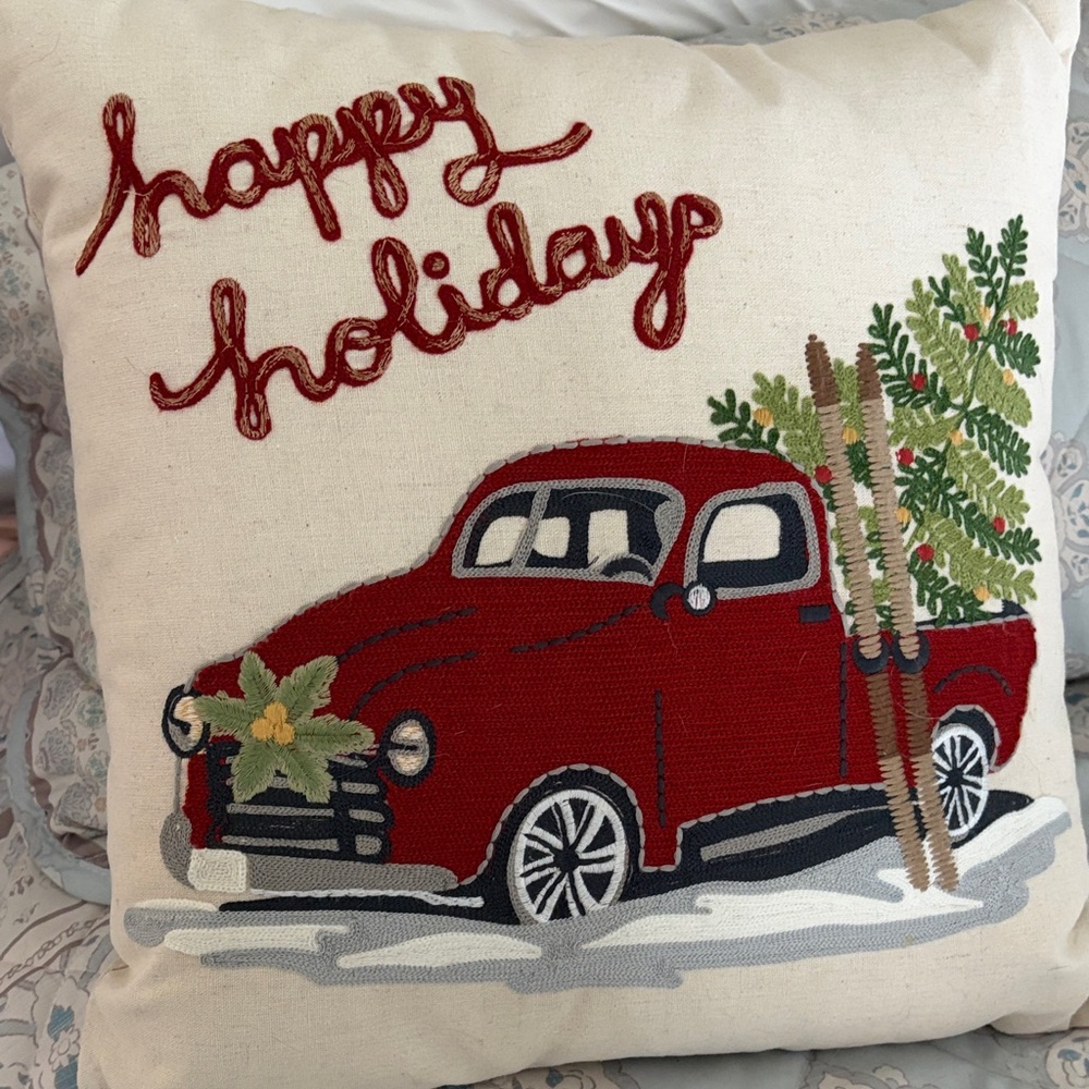 Pier 1 pillow